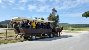 Aspettando Buy Tuscany On the Road - I tour operator stranieri durante l'educational Toscana Vera.