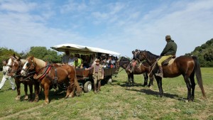 Aspettando Buy Tuscany On the Road - I tour operator stranieri durante l'educational Toscana Vera.