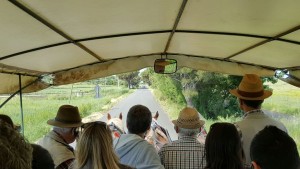 Aspettando Buy Tuscany On the Road - I tour operator stranieri durante l'educational Toscana Vera.