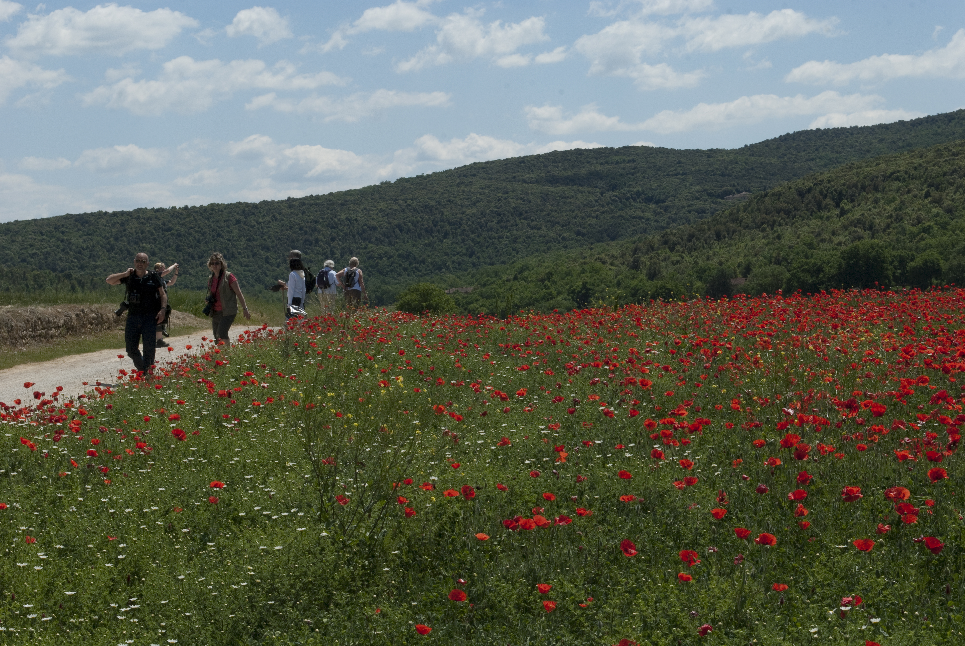 Turismo, la Toscana bella e sicura in uno spot