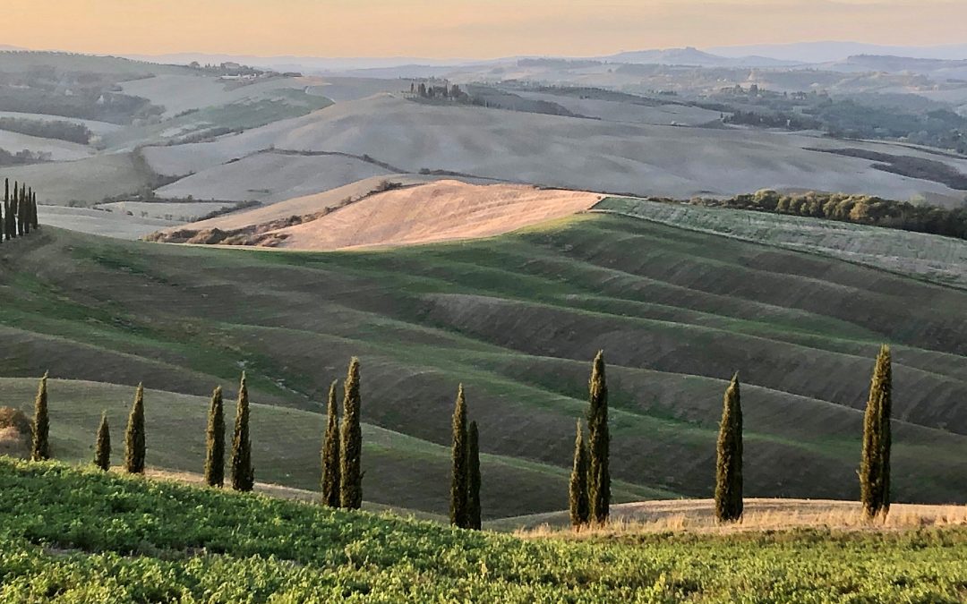 La strategia internazionale di Toscana Promozione. Tra Antenne estere e accordi di promozione condivisa