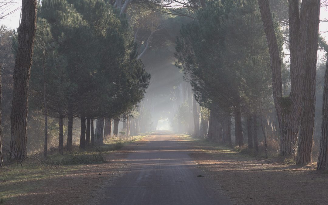 Il grande viaggio di AmbiTour: così TPT e Anci Toscana hanno unito i territori per costruire la “Destinazione Toscana”